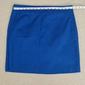 Ann Taylor skirt
